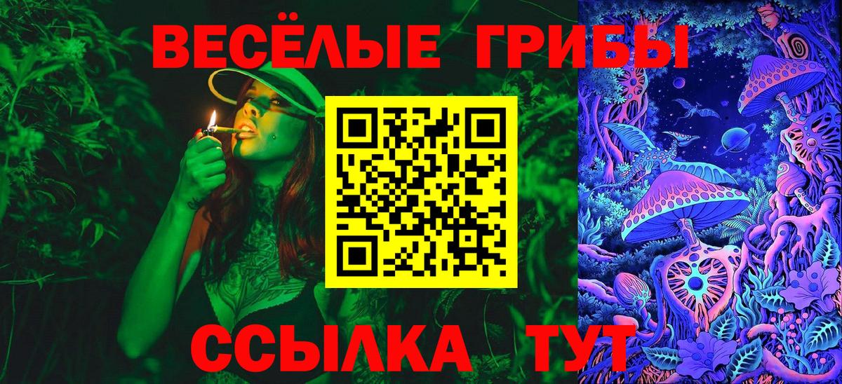 Сочи  Псилоцибиновые грибы Psilocybine cubensis  Вход с VPN 
